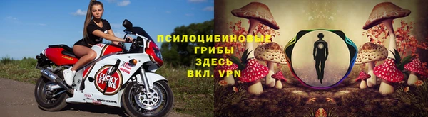 mdpv Дмитриев